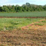 Tìm hiểu về hạn mức nhận chuyển nhượng đất nông nghiệp