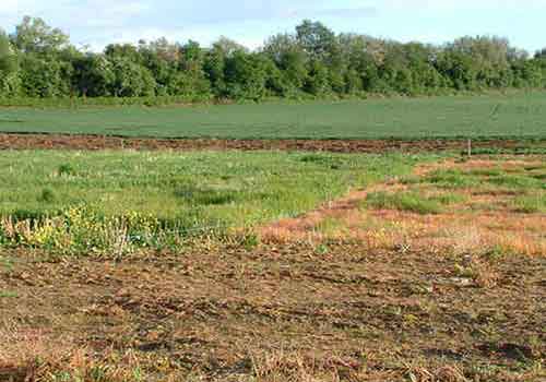 Tìm hiểu về hạn mức nhận chuyển nhượng đất nông nghiệp